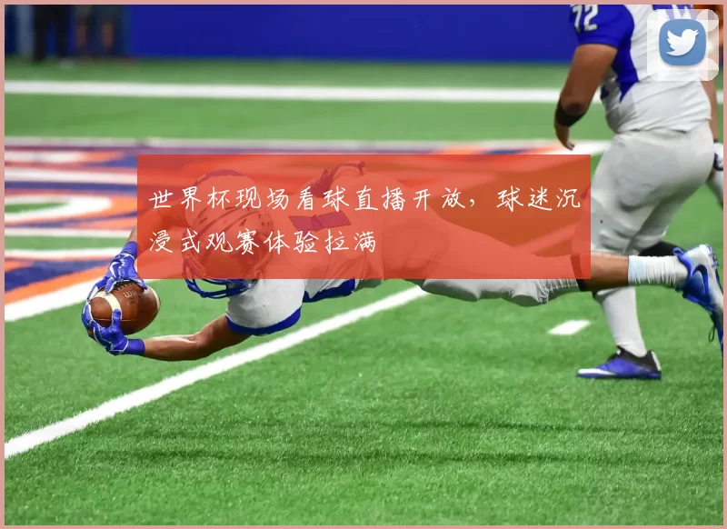 世界杯现场看球直播开放，球迷沉浸式观赛体验拉满