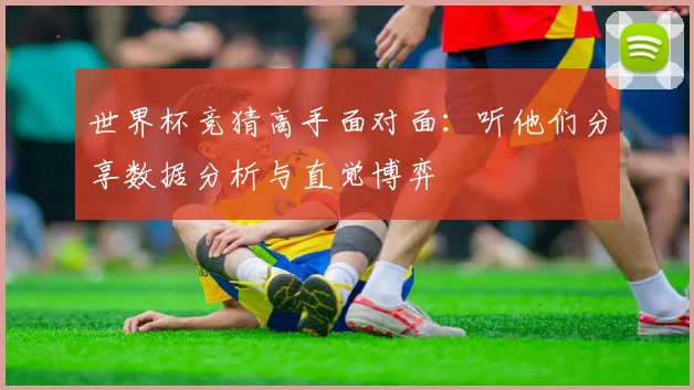 世界杯竞猜高手面对面:听他们分享数据分析与直觉博弈