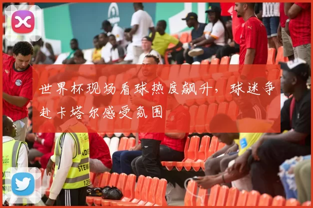 世界杯现场看球热度飙升,球迷争赴卡塔尔感受氛围