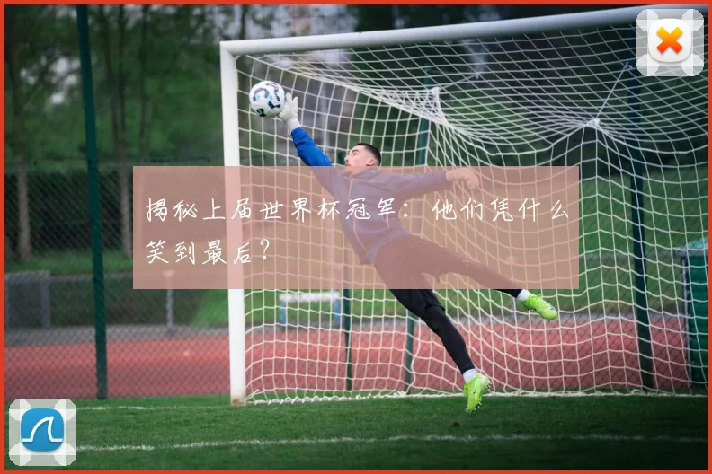 揭秘上届世界杯冠军:他们凭什么笑到最后?