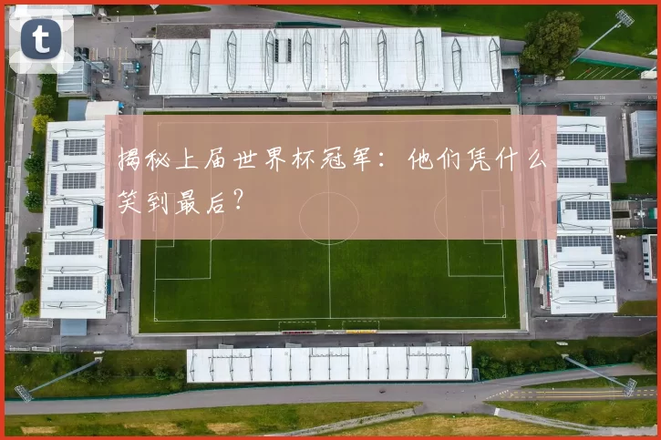 揭秘上届世界杯冠军:他们凭什么笑到最后?