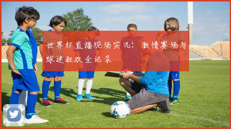 世界杯直播现场实况:激情赛场与球迷狂欢全记录