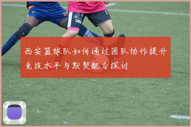 西安篮球队如何通过团队协作提升竞技水平与默契配合探讨