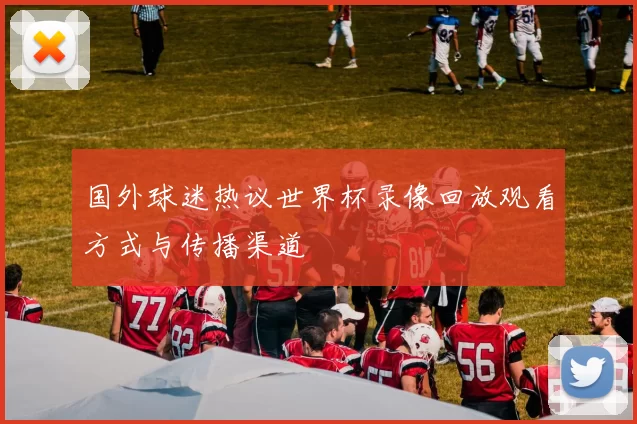 国外球迷热议世界杯录像回放观看方式与传播渠道