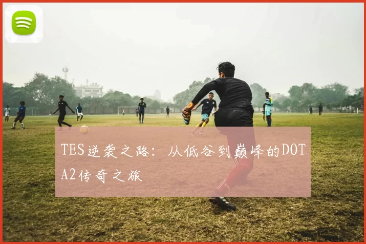 TES逆袭之路:从低谷到巅峰的DOTA2传奇之旅