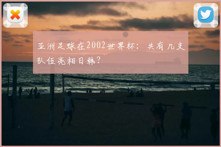 亚洲足球在2002世界杯:共有几支队伍亮相日韩?