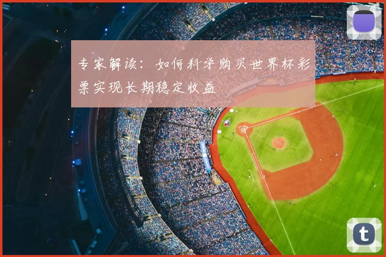 专家解读:如何科学购买世界杯彩票实现长期稳定收益