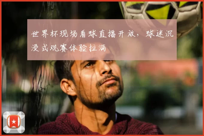 世界杯现场看球直播开放,球迷沉浸式观赛体验拉满