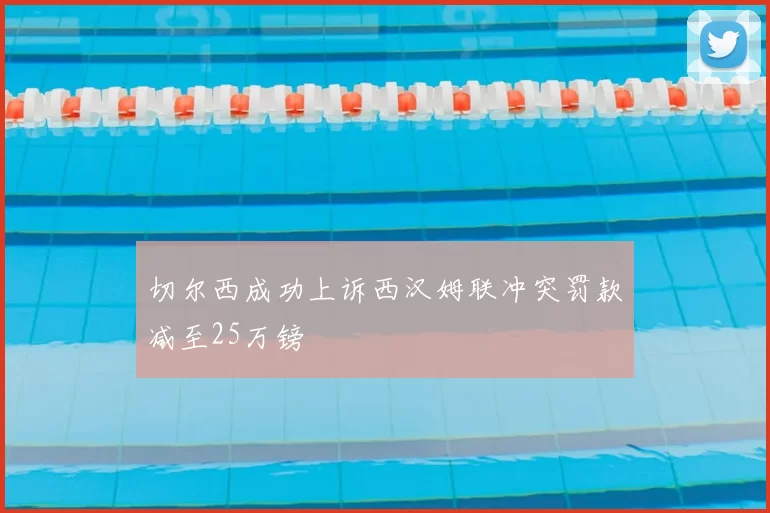 切尔西成功上诉西汉姆联冲突罚款减至25万镑