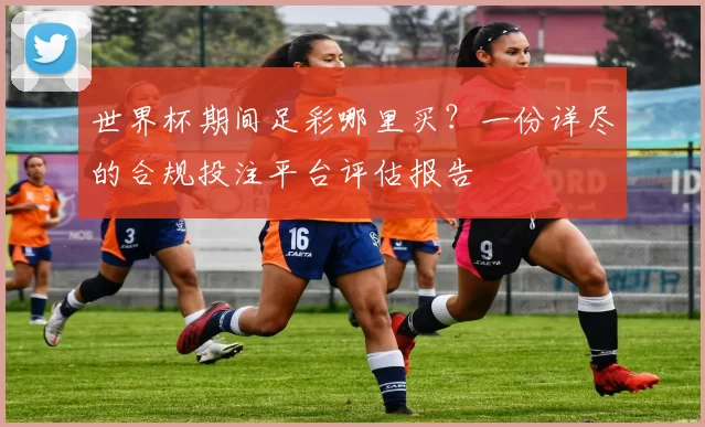 世界杯期间足彩哪里买?一份详尽的合规投注平台评估报告