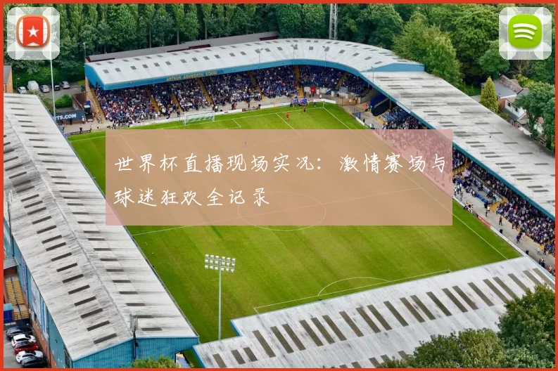 世界杯直播现场实况:激情赛场与球迷狂欢全记录