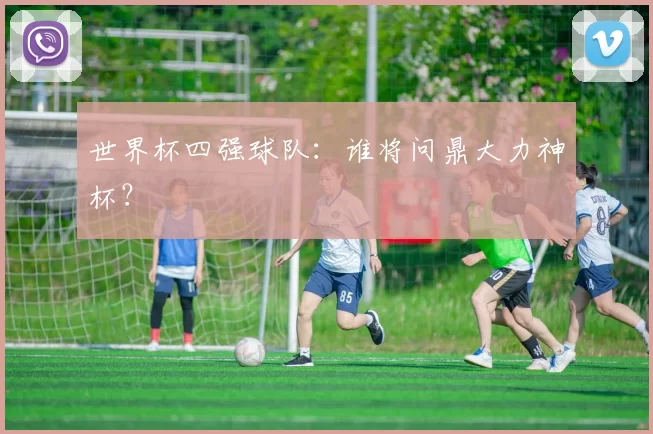 世界杯四强球队：谁将问鼎大力神杯？