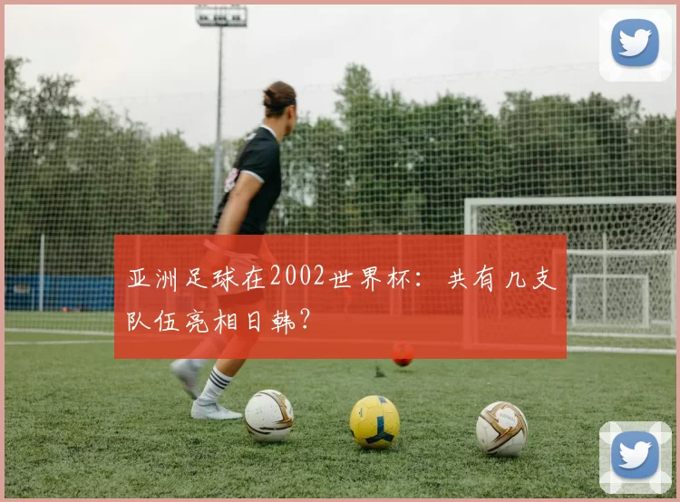 亚洲足球在2002世界杯：共有几支队伍亮相日韩？